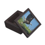Flying Eagle Premium Gift Box