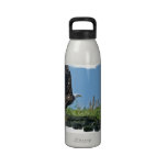 Flying Eagle Water Bottle