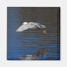 Flying Egret Fridge Magnet