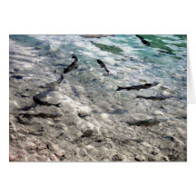 Flying Fish Greeting Card