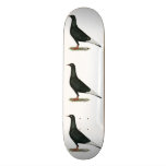 Flying Flight Black Pigeon Skateboards