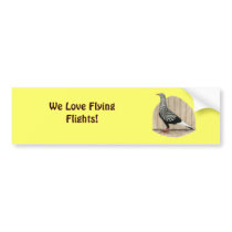 Flying Flight Black Teager Bumper Sticker