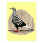 Flying Flight Black Teager Postcards