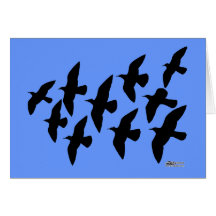 Flying Flight Pigeons Card