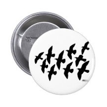 Flying Flight Pigeons Pins