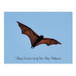 Flying Fox fruit bat of Subic Bay Post Cards