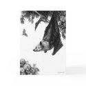 Flying Foxes Cards