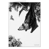 Flying Foxes Cards cards