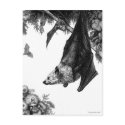 Flying Foxes Postcard