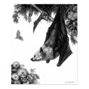 Flying Foxes Poster/Prints