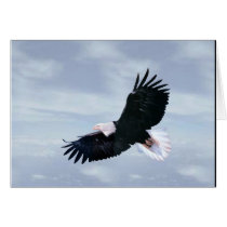 Flying Free cards