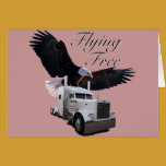 Flying Free cards