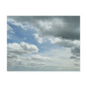 Flying Free postcards by sumiko Flying Free postcards