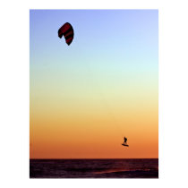 Flying Free posters