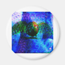 Flying Fruit Bat inside Cave Magnet