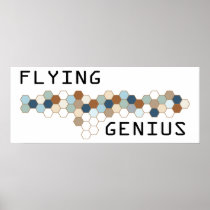 Flying Genius Posters