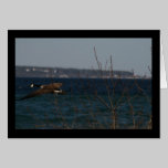 Flying Goose W/ Mackinac Island In Background Card cards