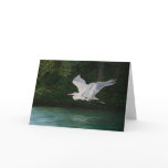 "Flying Great Blue Heron" Bird Art Greeting Card