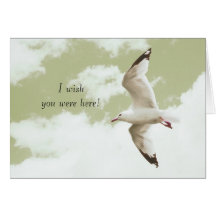 flying gull by the sea card