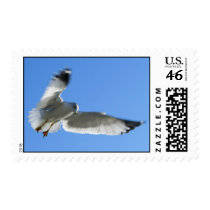 Flying Gull postage