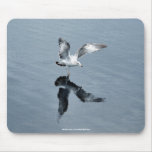 Flying Gull Walks on Water Photo Mousepad