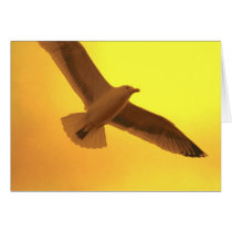Flying High cards