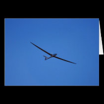 Flying High cards