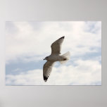 Flying high in the air poster