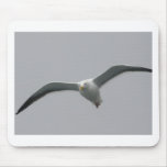 Flying High Mouse Pads