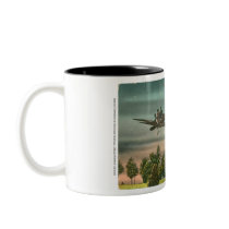 Flying High Over Old Chapel Mugs