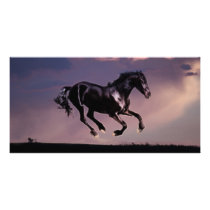 Flying High photo cards by laureenr Flying High photo cards