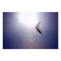 Flying high photo art