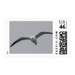 Flying High Postage Stamp