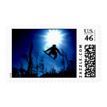 Flying High Postage Stamp