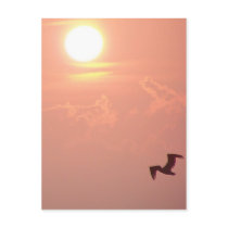 Flying High Postcard by closphotos Flying High Postcard