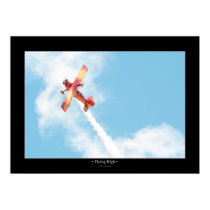 Flying High posters