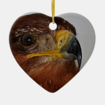Flying high till I can touch the sky Ornament