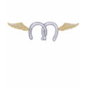 flying horseshoe t-shirt