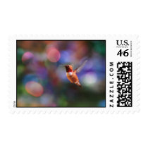 Flying Hummingbird and Colorful Background stamps