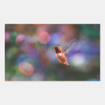 Flying Hummingbird and Colorful Background Rectangular Stickers