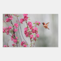Flying Hummingbird and Flowers Rectangular Sticker
