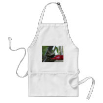 flying hummingbird aprons