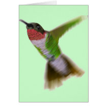 Flying Hummingbird Cards