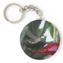 flying hummingbird key chain