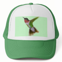 Flying Hummingbird Mesh Hat