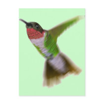 Flying Hummingbird Post Card