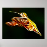 Flying Hummingbird Print