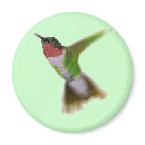 Flying Hummingbird Refrigerator Magnets