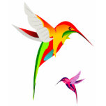 Flying Hummingbirds t-shirts
