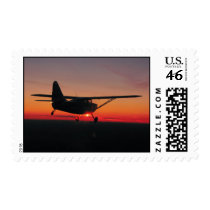 Flying into the sunset Postage Stamp